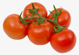 Free Png Tomatoes On The Vine Transparent Png Image - Tomatoes On The Vine Png