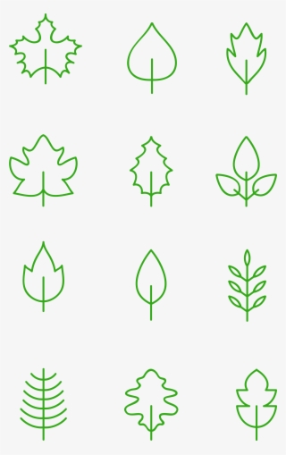 Foglie Disegnati A Mano Elementi Decorativi Minimalisti - Parallel