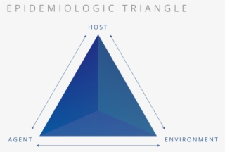 1025 X 600 3 - Triangle
