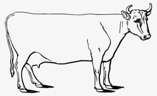 This Free Icons Png Design Of Ayrshire Cow