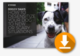 Download My Free How To Desensitize Your Dog To New - Dog
