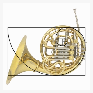 Golden French Horn - French Horn Golden Ratio