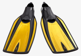 $20 - - Diving Equipment
