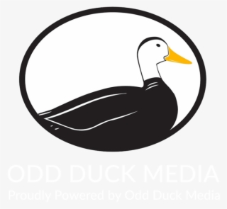 Website Builder San Antonio - Odd Duck Media