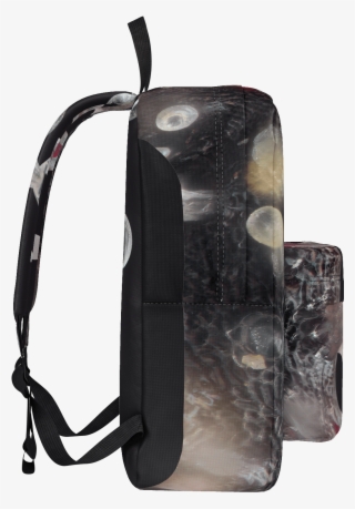 Goyard Trichrome Backpack Bag - Backpack