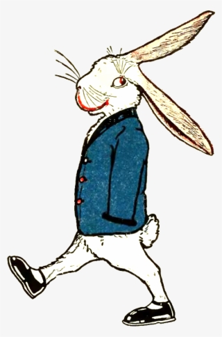 Peter Rabbit Albert 31 - Illustration