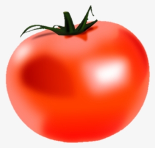 Plum Tomato