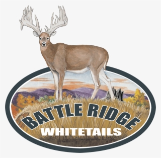 Battle Ridge Whitetails - Label