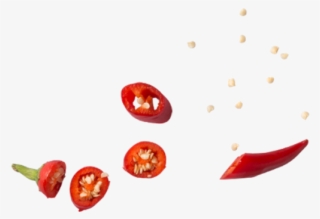 Chili Pepper - Illustration