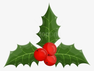 Christmas Holly Mistletoe Png - Illustration