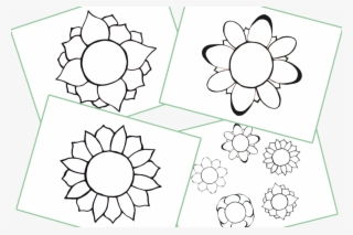 Flowers/summer Theme/topic Colouring Pages/activity - Flowers Colouring
