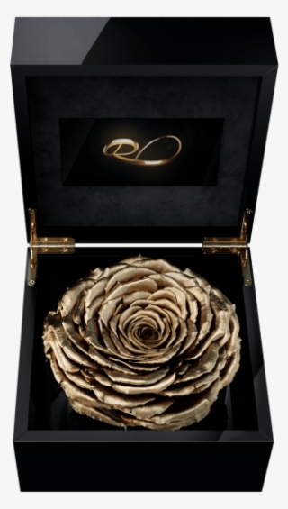 Luxury Video Flower Box Magna With A Xl Preserved Gold - Rose
