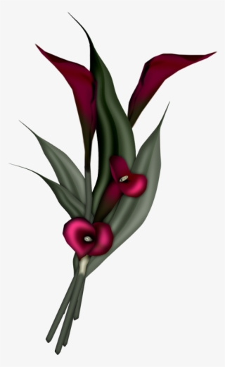 Flowers - Arum Lily Png Flower