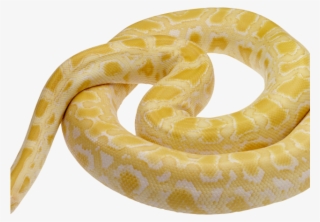 Python Clipart Snake Tongue - Snake Png