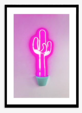 Neon Cactus - Cactus