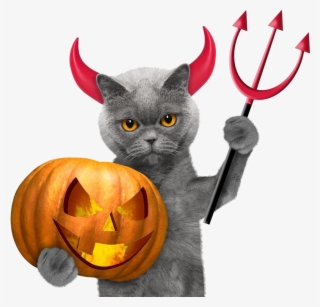 Halloween Cat Wallpaper - Los Gatitos En Halloween