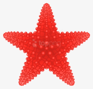 Free Png Download Starfish Transparent Clipart Png - Starfish Clip Art Png