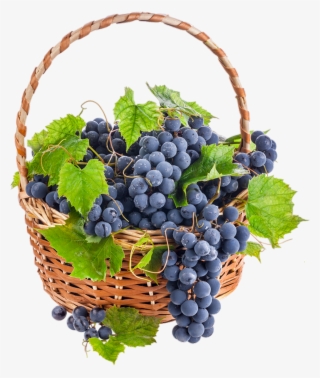 Grape