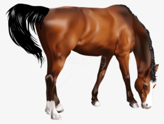Free Png Download Horse Png Images Background Png Images - Sorrel
