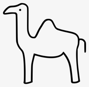 Camel Comments - Saddle