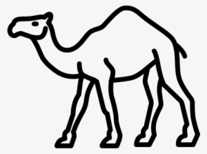 Camel Walking Vector - Camel Outline Png