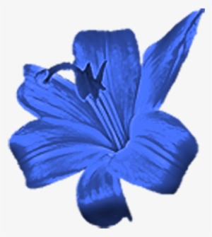 Blueflower - Small Blue Flower Png