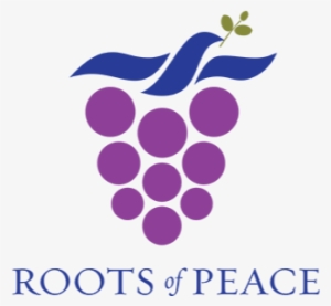 Logo Roots Of Peace - Seeds Of Peace