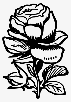 Medium Image - Black & White Rose Png