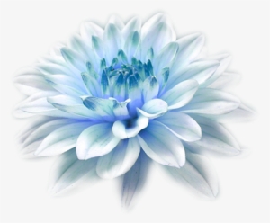 Light Blue Flower Png - Butterfly Hovering Over A Flower