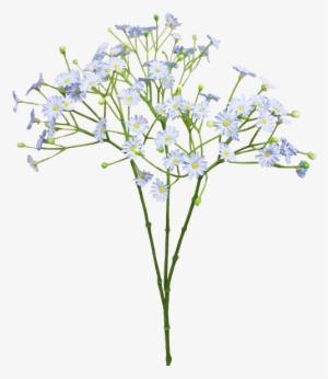 Baby Breath Flower Png Png Free Stock - Watercolor Baby's Breath Png