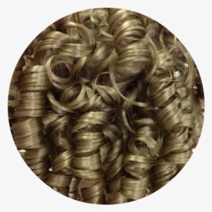 Curly Ponytail 25 Ash Blonde - Blond