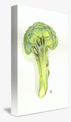 Broccoli Tree By Sydney Harper Graphic Royalty Free - Drawing