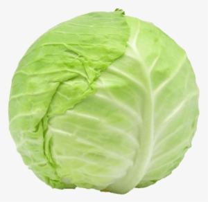 Free Png Cabbage Png Images Transparent - Cabbage Png