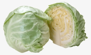 Free Png Cabbage Png Images Transparent - Cabbage Png