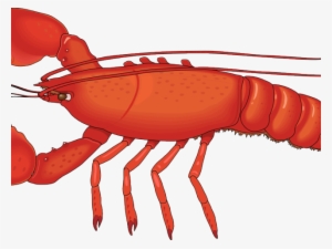 Crawfish Clipart Crab - Lobster Png