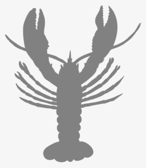 crawfish vector pdf - american lobster