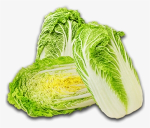Chinese Cabbage - Chinese Cabbage Transparent Png