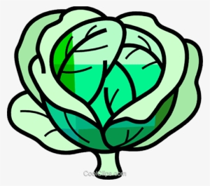 Cabbage - Kohl Clipart