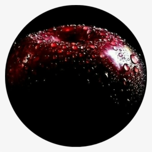 Apple Fondo Boceto Etiqueta Wattpadcover - Sphere
