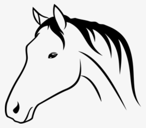 Animal, Horse, Head, Drawing - Horse Head Drawing Png