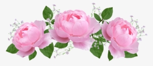 Flower, Floral, Rose, Flora, Petal - Grandparents Poem
