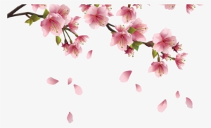 Beautiful Pink Spring Branch With Falling Petals Png - Cherry Blossom Drawing Png