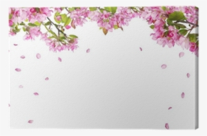 Apple Tree Blossom Branches And Falling Petals Canvas - Flowers Falling