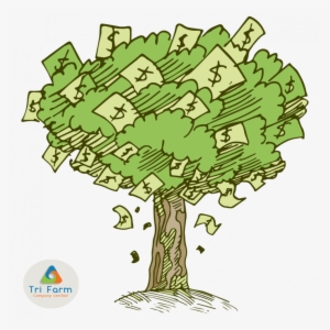 Introducing Our Newest Product Money Tree - Money Tree Cartoon Money Background
