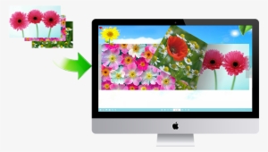 Convert Images To Page-flipping Digital Photo Album