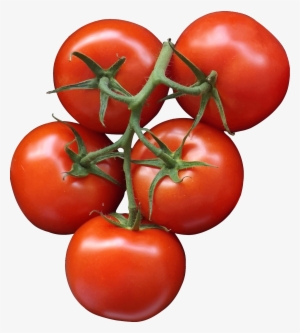 Tomatoes Png