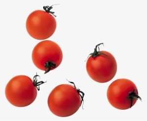 Red Tomatoes Png Image - Cherry Tomato Png