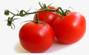 Cropped Cropped Spanish Fresh Food Tomatoes - Vine Ripe Tomatoes