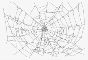 Spider Web Computer Icons Drawing Download - Transparent Background Spider Web Png