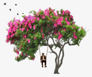 Ftestickers Tree People Birds Man Swing Bird Flower - Arboles Con Flores Png